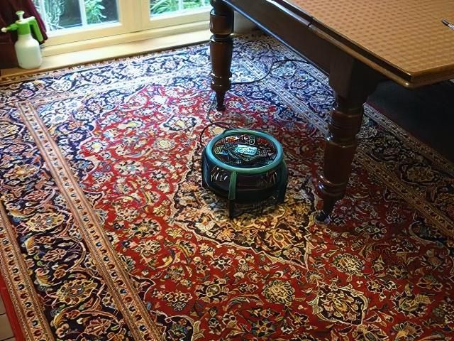 rug-cleaning-3-kireth-ai